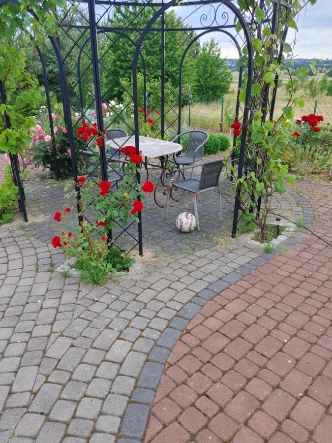Apartamentypomorze Białogóra エクステリア 写真