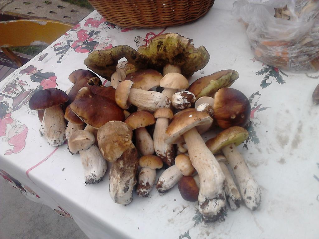 Apartamentypomorze Białogóra エクステリア 写真